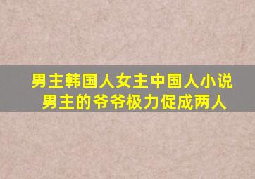 男主韩国人女主中国人小说 男主的爷爷极力促成两人